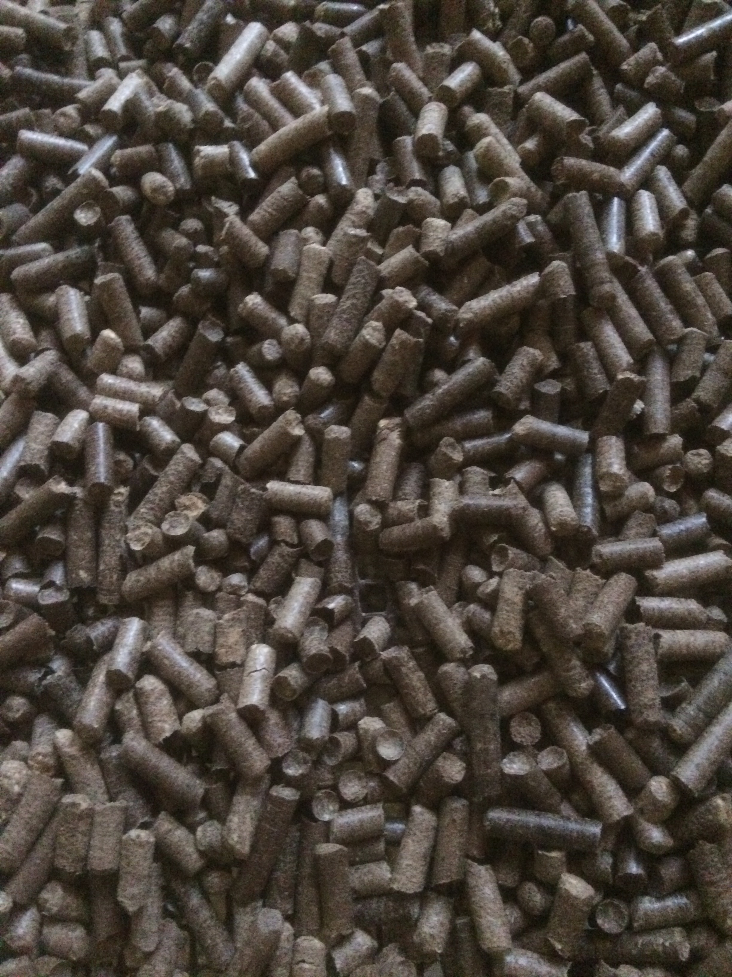 ForumEA/L/pellet di pino.jpg